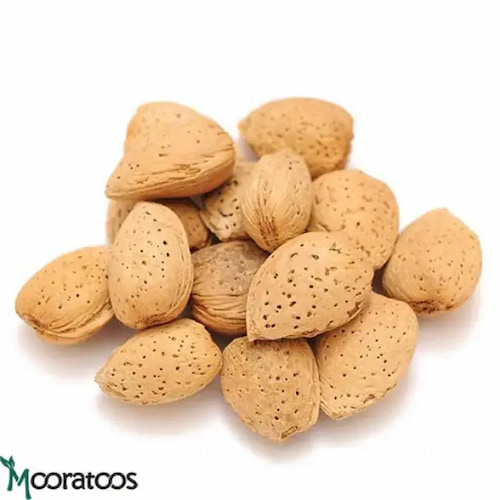 تصویر 3 از قیمت بادام سنگی + خرید باور نکردنی