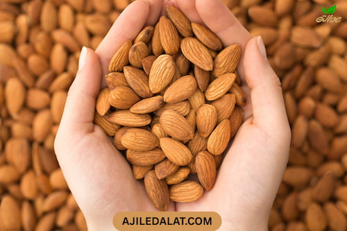 تصویر 5 از فروش انواع مغز بادام درختی + قیمت خرید به صرفه