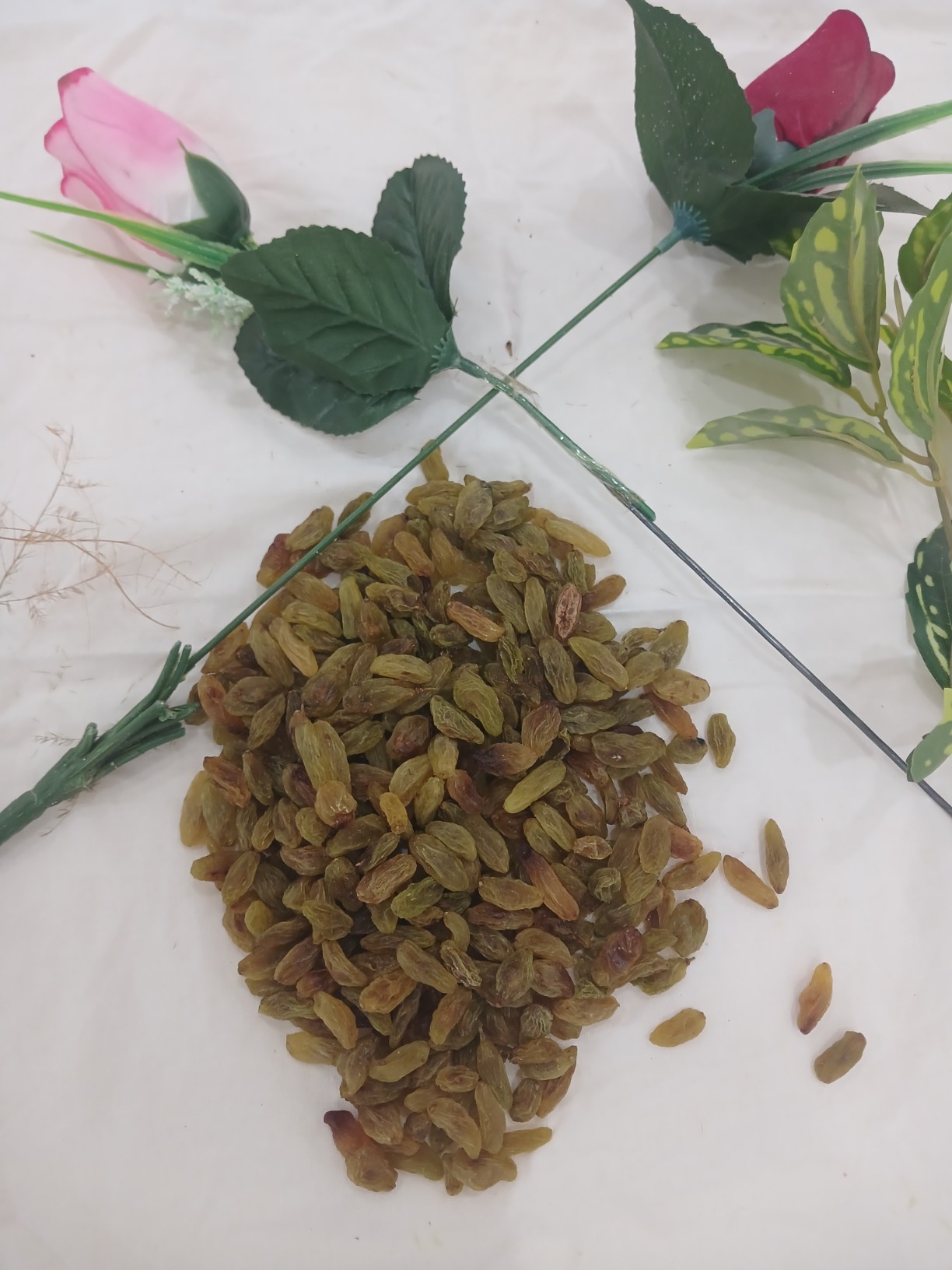 خرید کشمش + با قیمت همکاری
