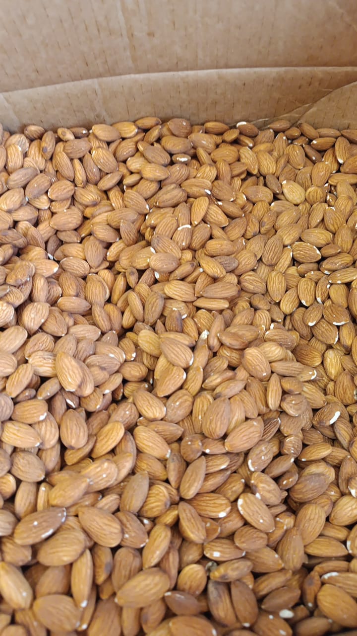 مغز بادام تگری خارجی تازه و خوش‌ رنگ با کیفیت بالا