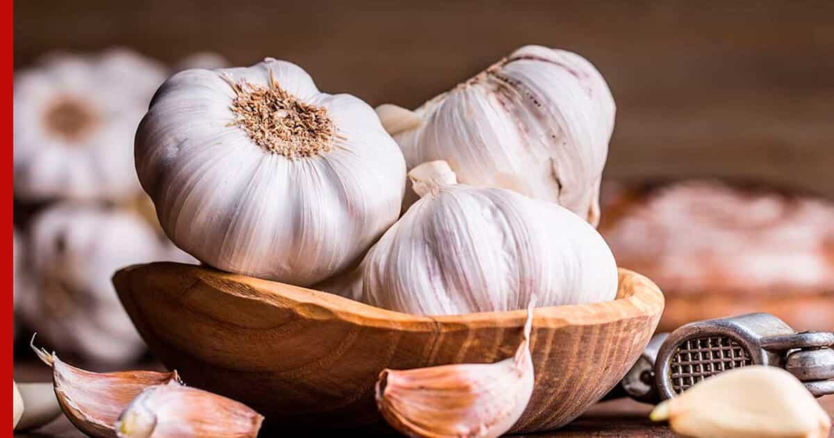 تصویر 2 از خرید سیر قرمز تازه + قیمت عالی باکیفیت