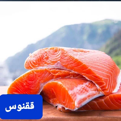 تصویر 2 از قیمت ماهی سالمون صادراتی + خرید باور نکردنی