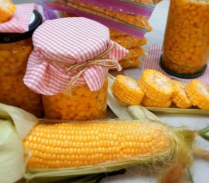 تصویر 3 از خرید و قیمت ذرت منجمد برای ذرت مکزیکی + فروش عمده