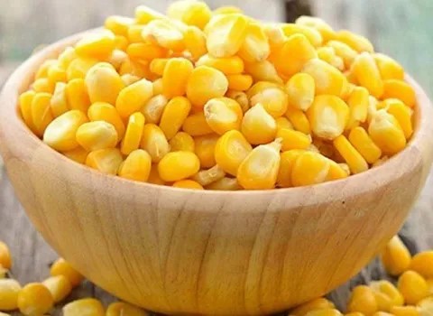 قیمت خرید ذرت منجمد درشت با فروش عمده