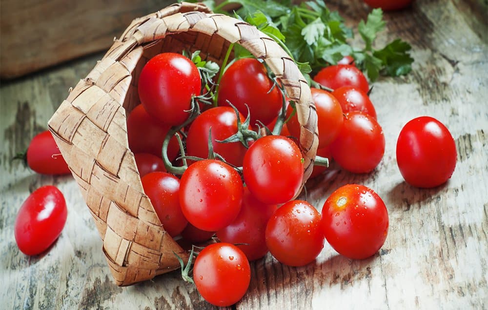 تصویر 4 از قیمت گوجه فرنگی درجه یک + خرید باور نکردنی