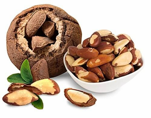 خرید و فروش بادام برزیلی با شرایط فوق العاده