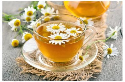 تصویر 2 از خرید و فروش عمده بابونه سفید صادراتی با قیمت ویژه