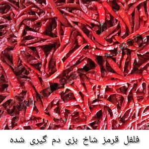تصویر 2 از خرید و فروش عمده فلفل قرمز صادراتی با قیمت ویژه
