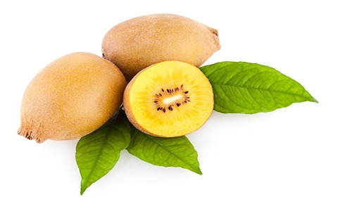 تصویر 3 از فروش کیوی هایوارد طلایی + قیمت خرید به صرفه