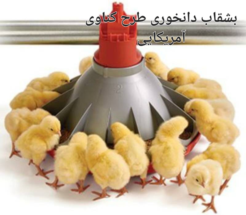 تصویر 1 از خرید و قیمت بشقاب دانخوری طرح ترک مخصوص مرغداری