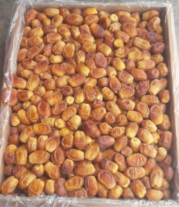 تصویر 1 از خرمای زاهدی صادراتی