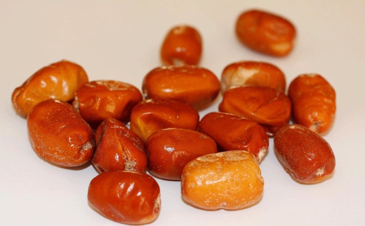خرید میوه سنجد