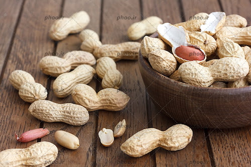 تصویر 2 از قیمت خرید بادام زمینی غلاف دار + فروش ویژه