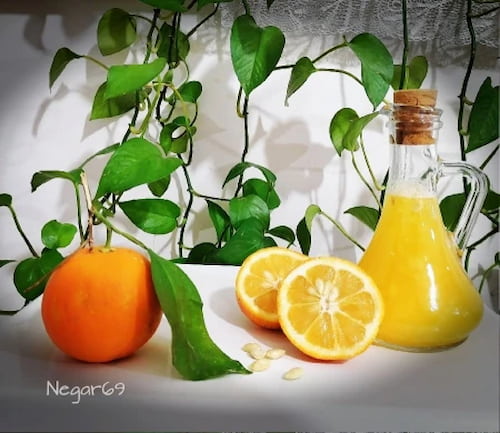 تصویر 1 از قیمت خرید کنسانتره نارنج ارگانیک + فروش ویژه