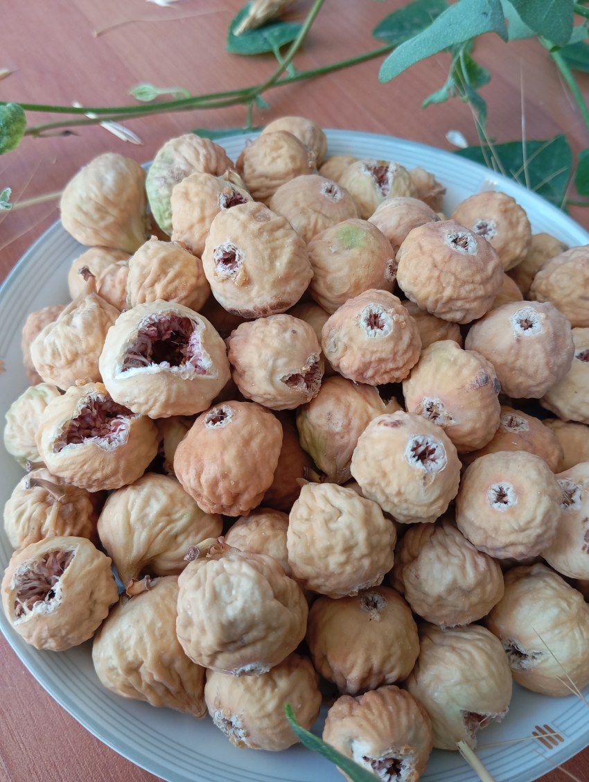 تصویر 2 از خرید و فروش انجیر خشک استهبان قیمت رقابتی