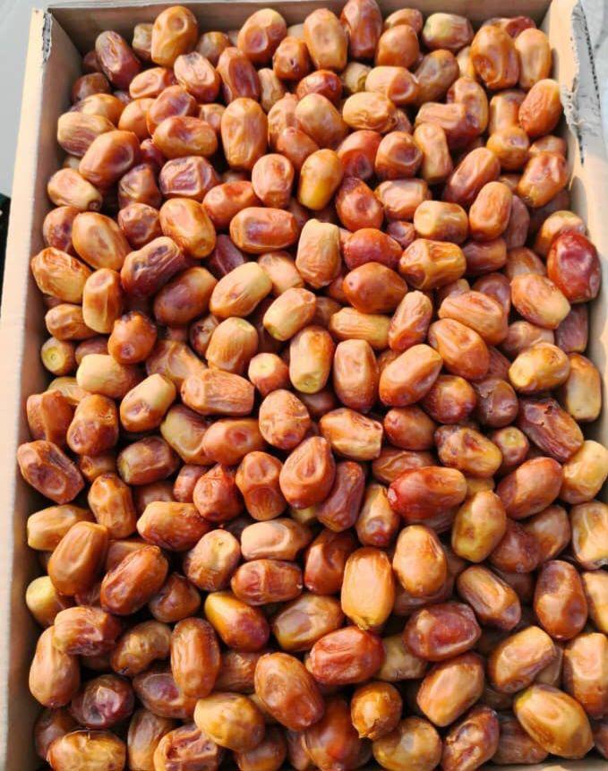 تصویر 1 از خرماي صادراتی زاهدی