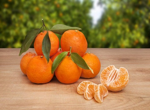 قیمت نارنگی یافا