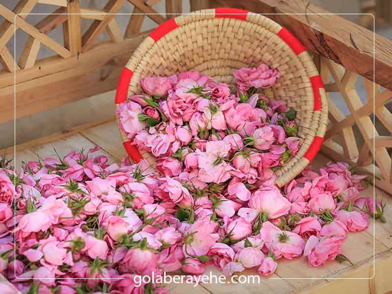 تصویر 3 از خرید و قیمت گلاب + فروش عمده