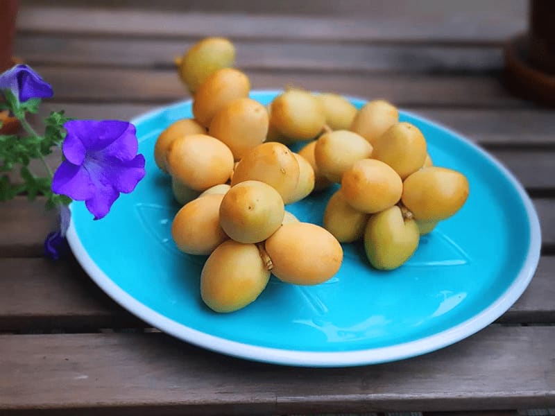 خرید و قیمت خرما خارک + فروش عمده