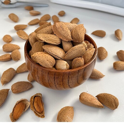 تصویر 5 از بادام سنگی مرغوب + فروش به قیمت خرید