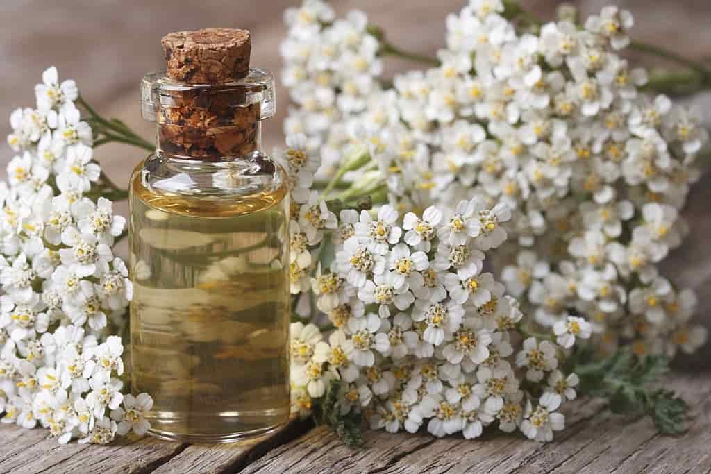فروش عرق بومادران + قیمت خرید به صرفه
