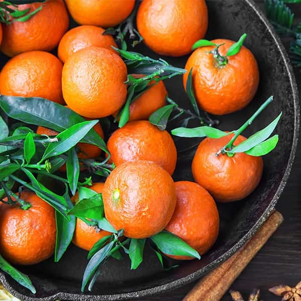 تصویر 4 از معرفی نارنگی  + بهترین قیمت خرید