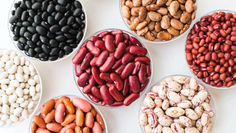 تصویر 1 از خرید و قیمت لوبیا + فروش عمده