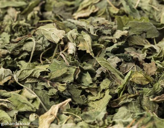 خرید و فروش عمده بادرنجبویه برگ خشک صادراتی با قیمت مناسب