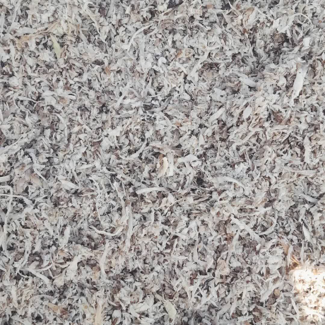 تصویر 1 از سفارش اینترنتی تفاله چغندر برای گوساله پرواری