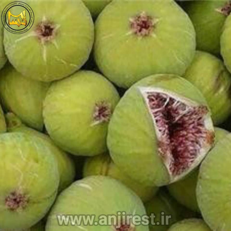تصویر 4 از انجیر سفید طارم