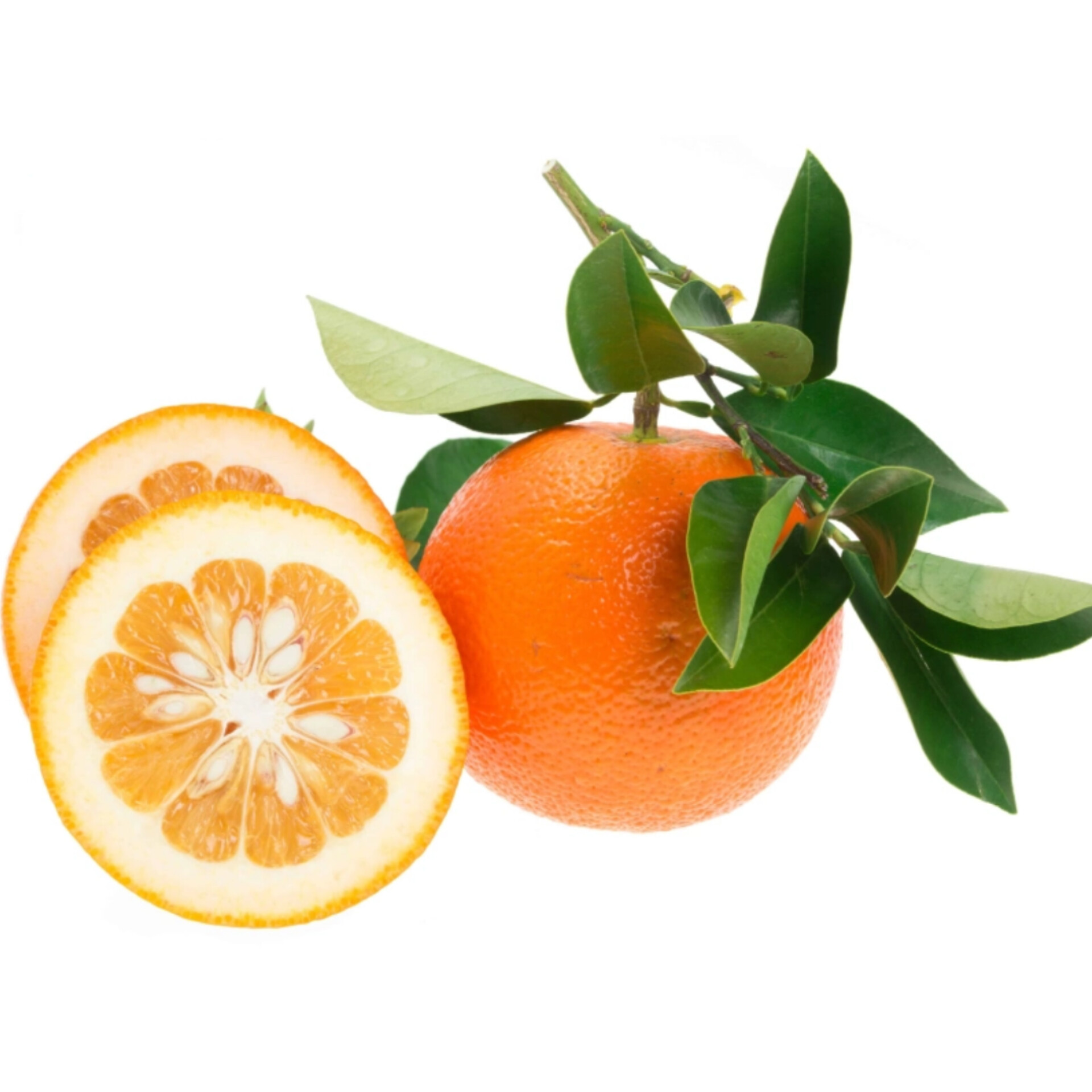 تصویر 4 از قیمت نارنج ارگانیک درجه 1 + خرید باور نمکردنی