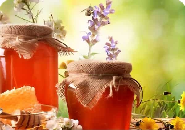 تصویر 5 از خرید ارزان و آسان عسل اکالیپتوس