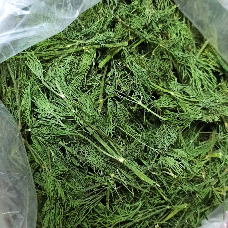 فروش سبزی شوید خشک اعلا با تضمین کمترین قیمت