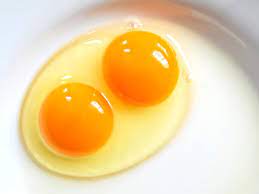 تصویر 1 از فروش تخم مرغ دو زرده