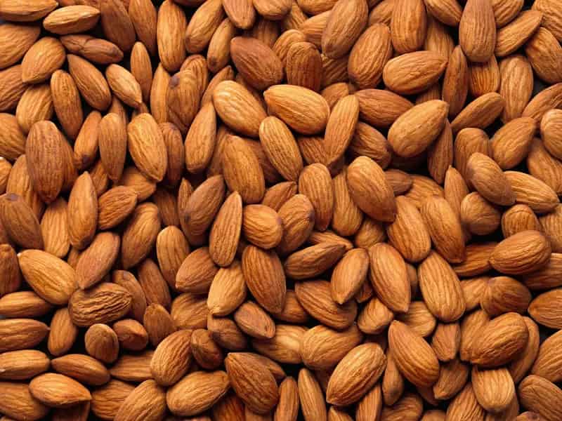 تصویر 5 از خرید و قیمت مغز بادام + فروش عمده