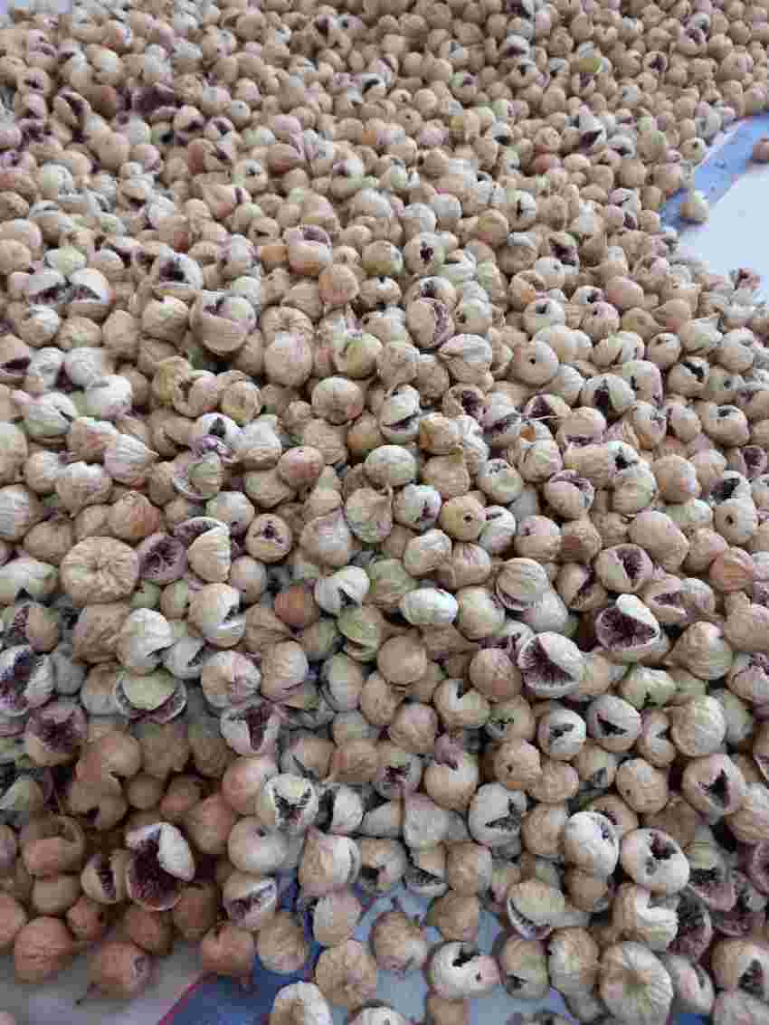 تصویر 3 از مرکز فروش انجیر پرک اعلا