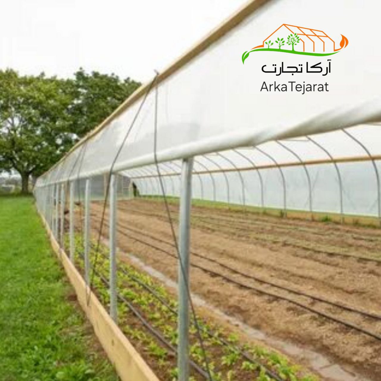 تصویر 2 از فروش نایلون گلخانه عرض 8 متر + خرید عمده و بی‌ واسطه