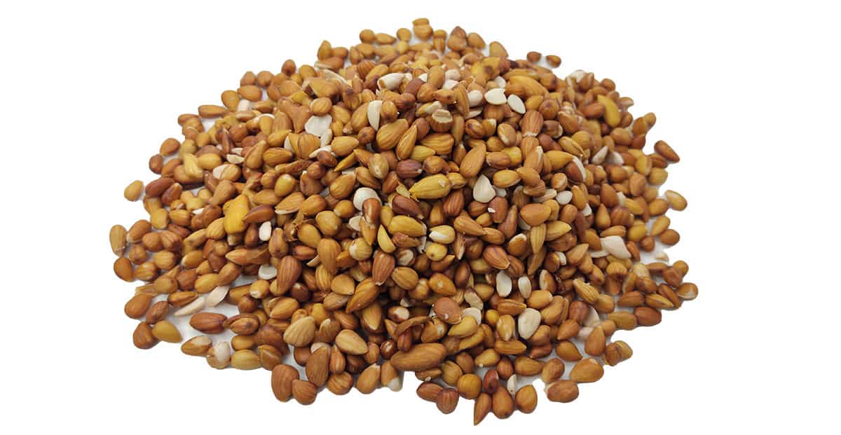 تصویر 1 از خرید بادام کوهی الوک + قیمت فروش استثنایی
