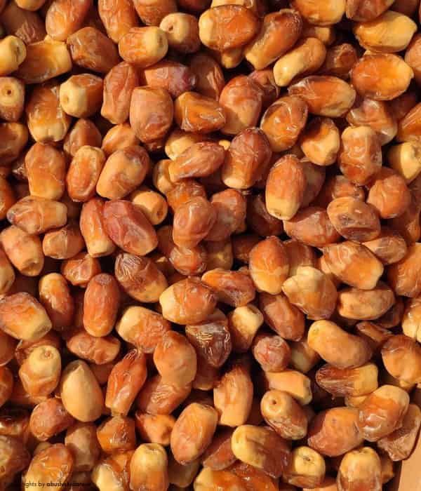 تصویر 1 از قیمت خرید خرما زاهدی با فروش عمده