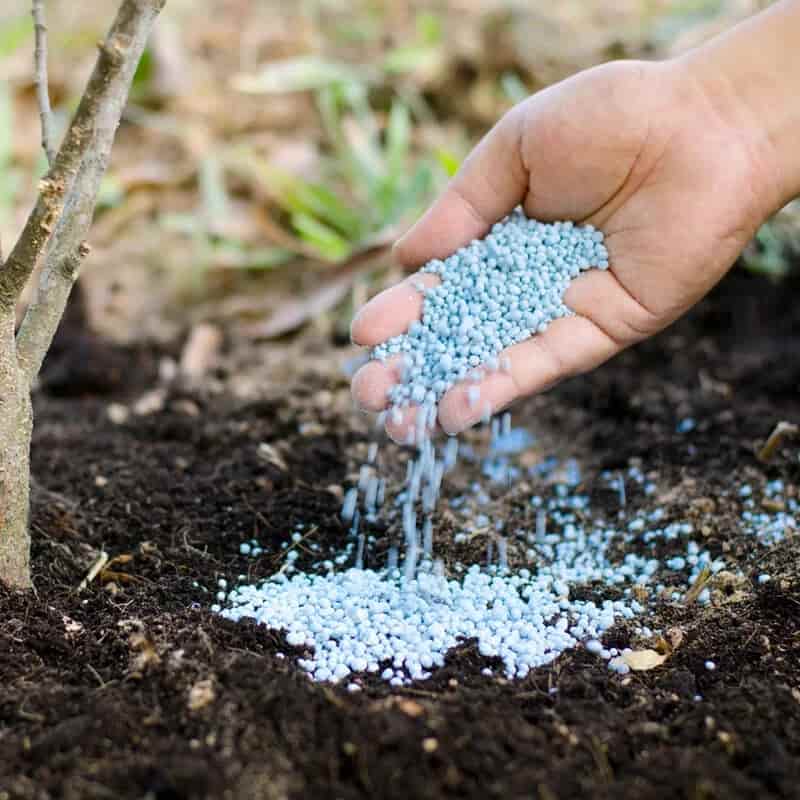 تصویر 2 از معرفی کود ارگانیک کشاورزی + بهترین قیمت خرید