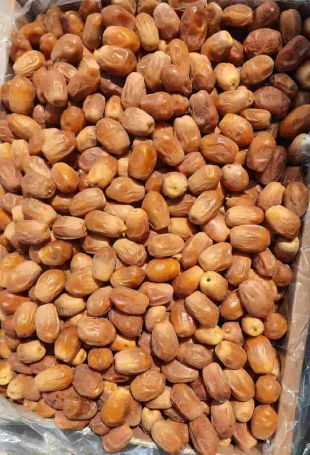 تصویر 3 از قیمت فروش خرما خشک زاهدی ویژه