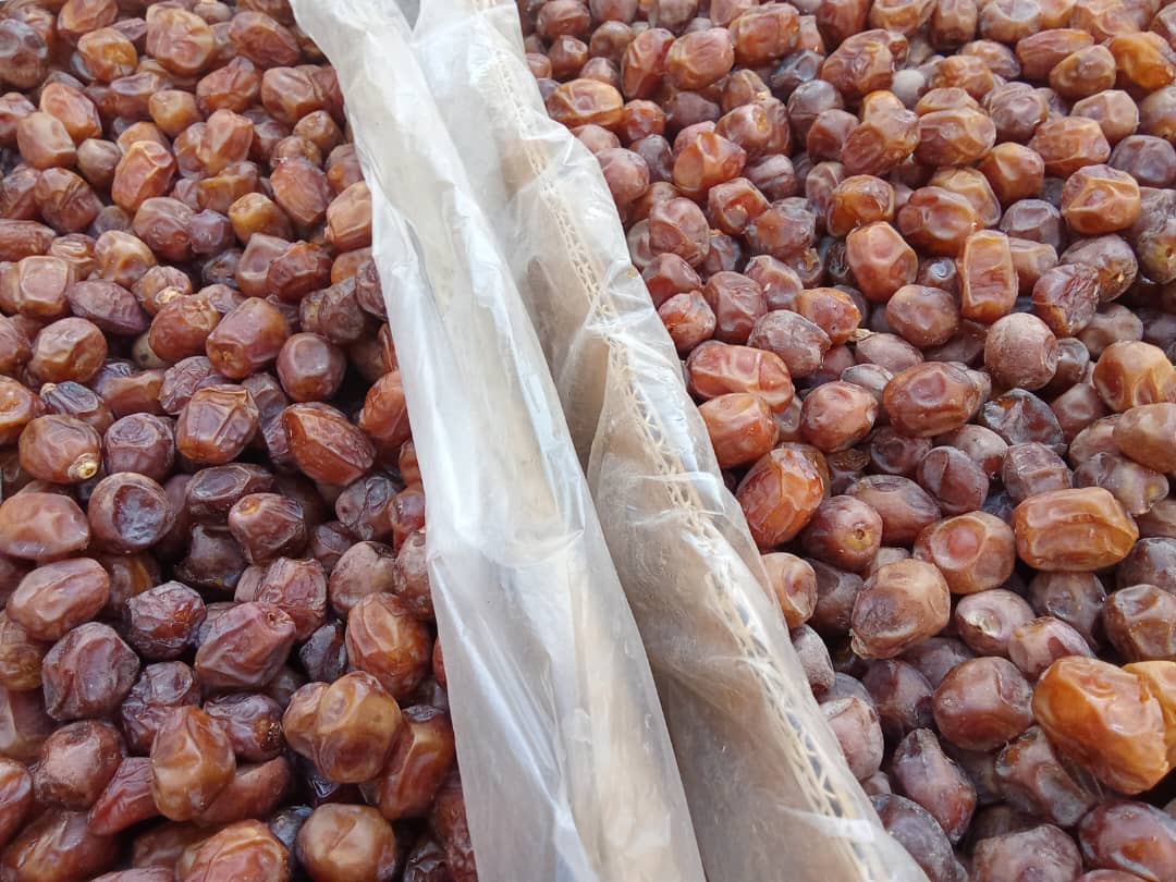 تصویر 3 از فروش خرما ریزه خاصویی + خوش قیمت