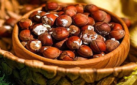 تصویر 4 از خرید و قیمت فندق نمکی + فروش عمده