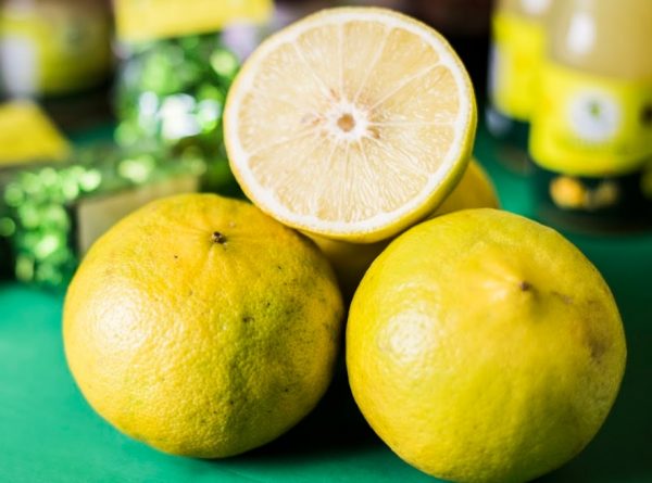 تصویر 4 از خرید و قیمت ترنج + فروش عمده