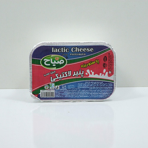 تصویر 2 از قیمت پنیر لاکتیکی صباح + خرید باور نکردنی