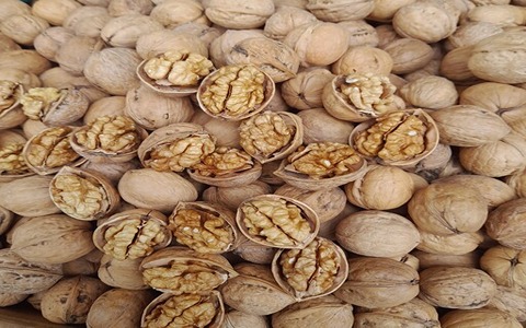 تصویر 1 از خرید و فروش گردو پوست کاغذی ایرانی با شرایط فوق العاده