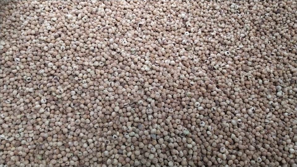 تصویر 1 از پخش عمده انواع انجیر درشت استهبان با بالاترین کیفیت