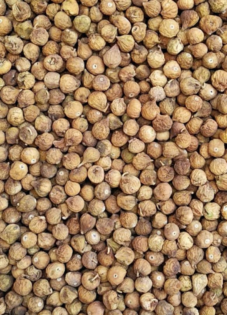 خرید و فروش انجیر ضایعاتی متوسط + خرید مستقیم از باغدار