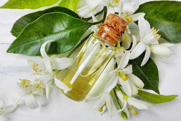 تصویر 1 از فروش عمده اسانس بهار نارنج طبیعی گرید A