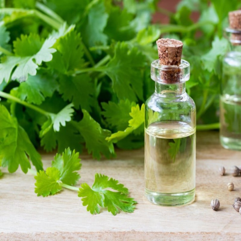 تصویر 1 از فروش عمده اسانس گشنیز طبیعی گرید A